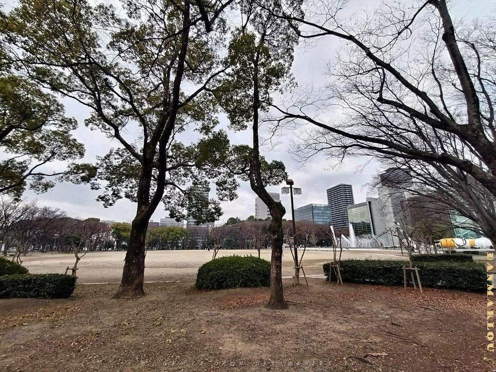 NAGOYA - Centre Ville et Vie Quotidienne - Janvier 2024 - 055.JPG